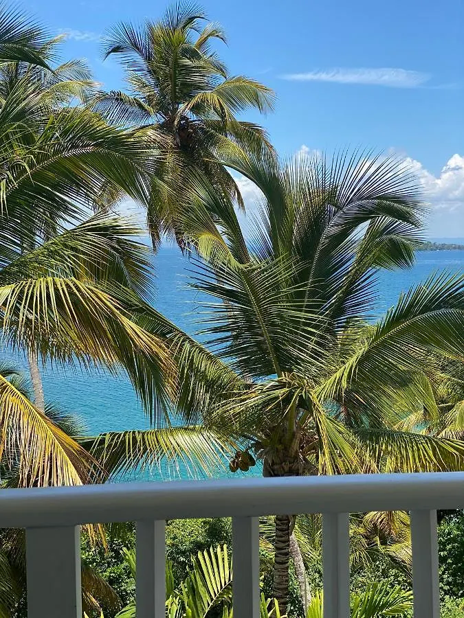 Vista Mare Samana Amazing Views!! Apartment